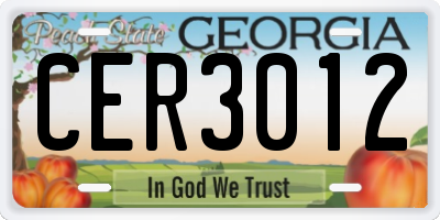 GA license plate CER3012