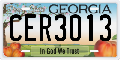 GA license plate CER3013