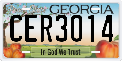 GA license plate CER3014