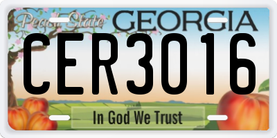 GA license plate CER3016