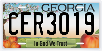 GA license plate CER3019