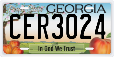 GA license plate CER3024
