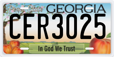 GA license plate CER3025