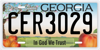 GA license plate CER3029