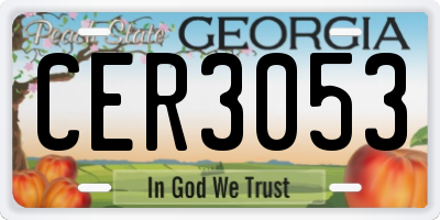 GA license plate CER3053