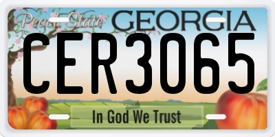 GA license plate CER3065