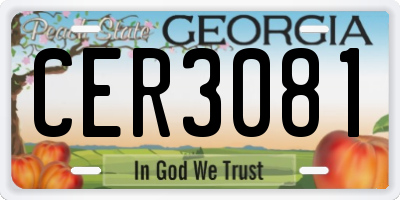 GA license plate CER3081