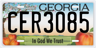 GA license plate CER3085