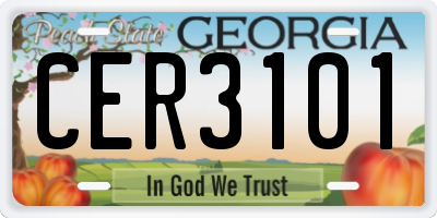 GA license plate CER3101