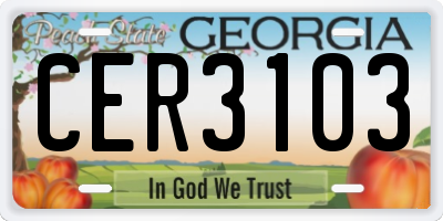 GA license plate CER3103