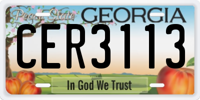 GA license plate CER3113