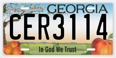 GA license plate CER3114
