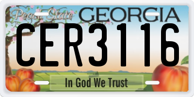 GA license plate CER3116