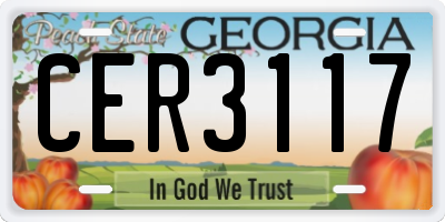 GA license plate CER3117