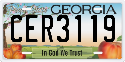 GA license plate CER3119