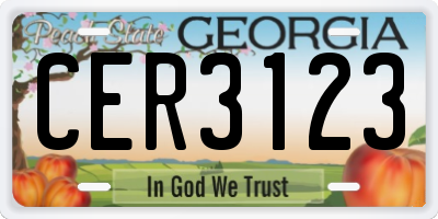 GA license plate CER3123
