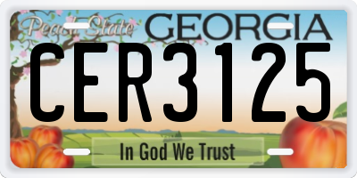 GA license plate CER3125