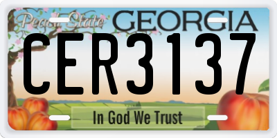 GA license plate CER3137