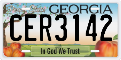 GA license plate CER3142
