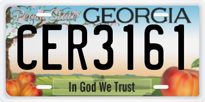 GA license plate CER3161