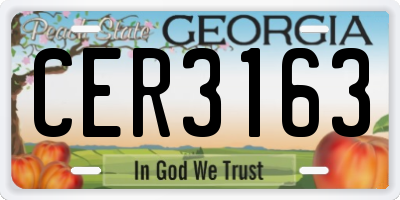 GA license plate CER3163