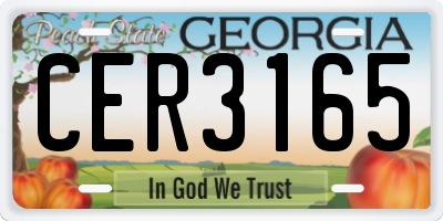 GA license plate CER3165