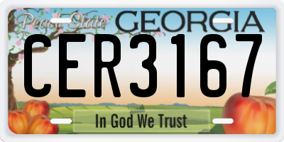 GA license plate CER3167