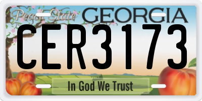 GA license plate CER3173