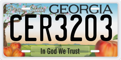 GA license plate CER3203