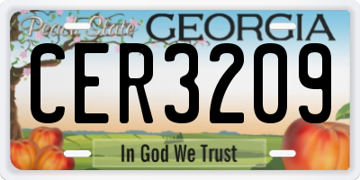 GA license plate CER3209