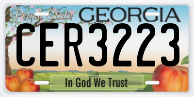 GA license plate CER3223