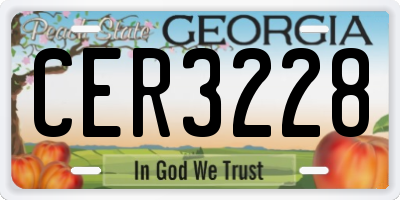 GA license plate CER3228