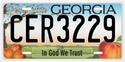 GA license plate CER3229