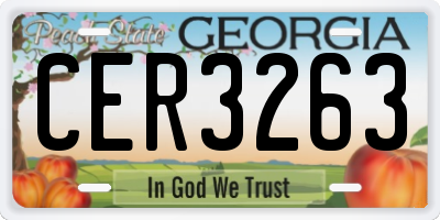 GA license plate CER3263