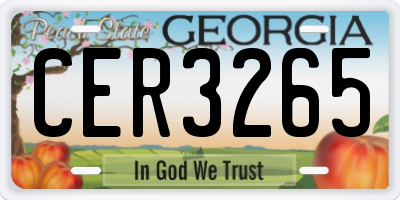 GA license plate CER3265