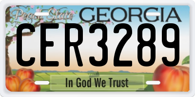 GA license plate CER3289