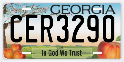 GA license plate CER3290