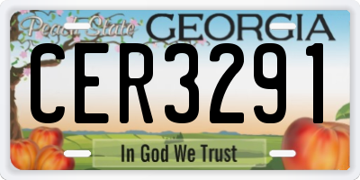 GA license plate CER3291