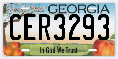 GA license plate CER3293