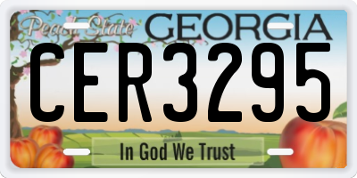 GA license plate CER3295