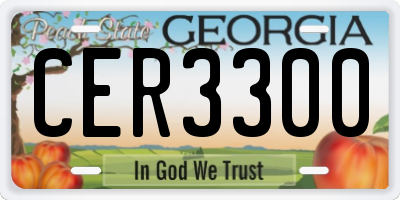 GA license plate CER3300
