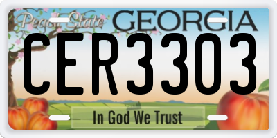 GA license plate CER3303