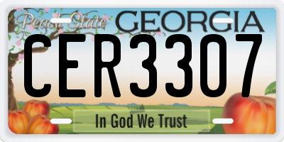 GA license plate CER3307
