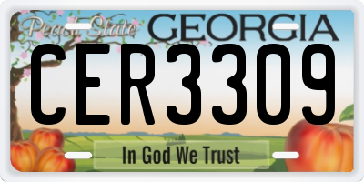 GA license plate CER3309