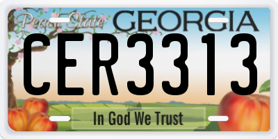 GA license plate CER3313