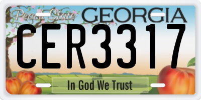 GA license plate CER3317
