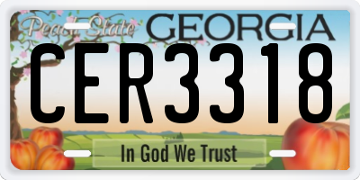 GA license plate CER3318