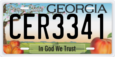 GA license plate CER3341