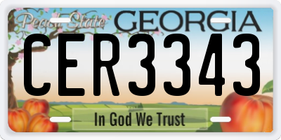 GA license plate CER3343