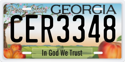 GA license plate CER3348